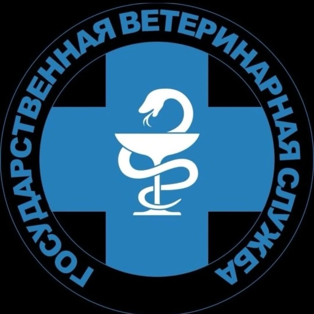 КГБУ "Кировская ВСББЖ" — Канал Макс рейтинг КГБУ "Кировская ВСББЖ"