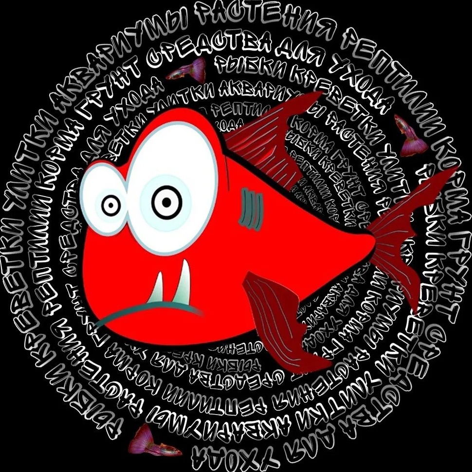 АКВАСБОР (Аквариумы и их обитатели) — Канал Макс рейтинг АКВАСБОР (Аквариумы и их обитатели)