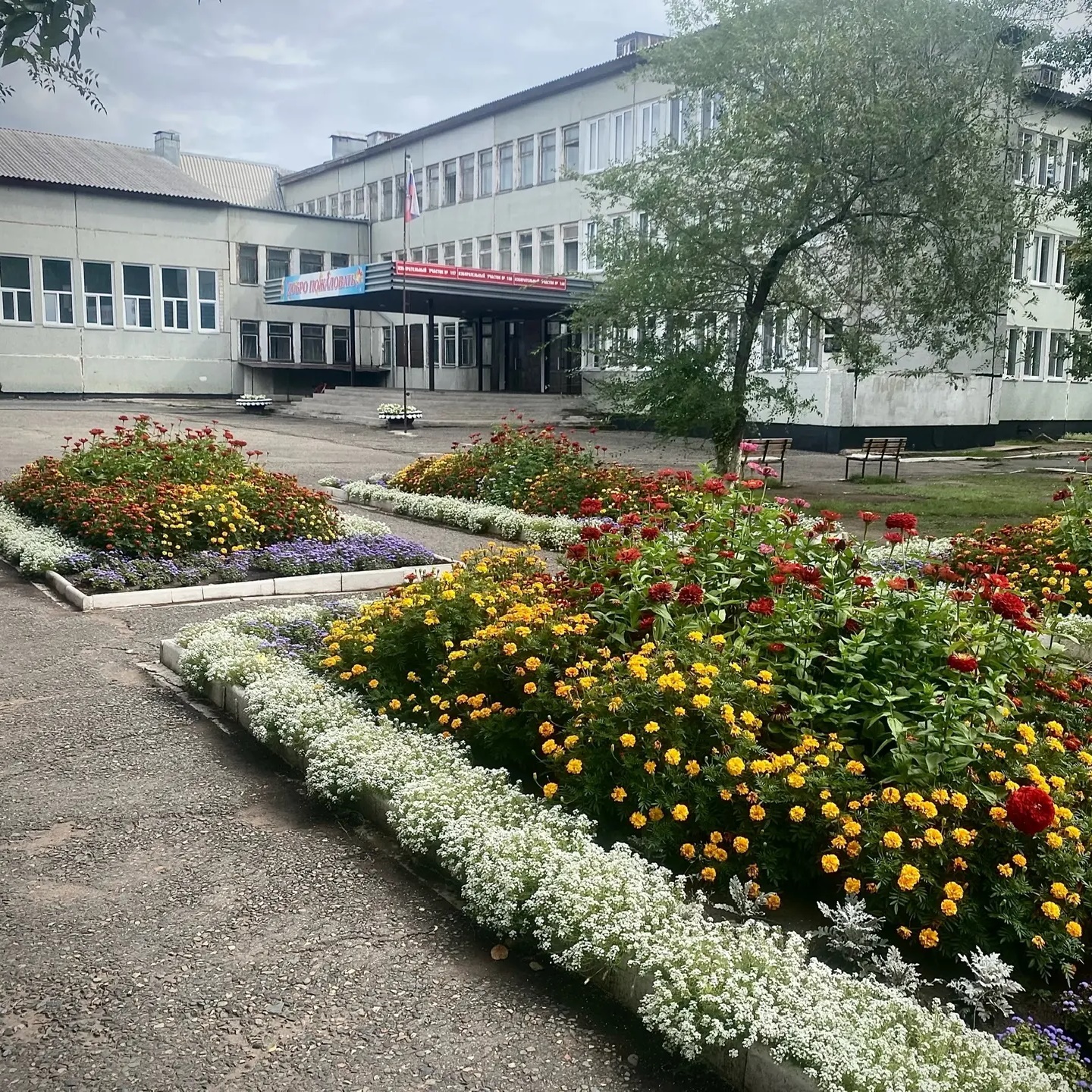 Иконка Канал МБОУ «СОШ 20» г.Черногорск — портал Max