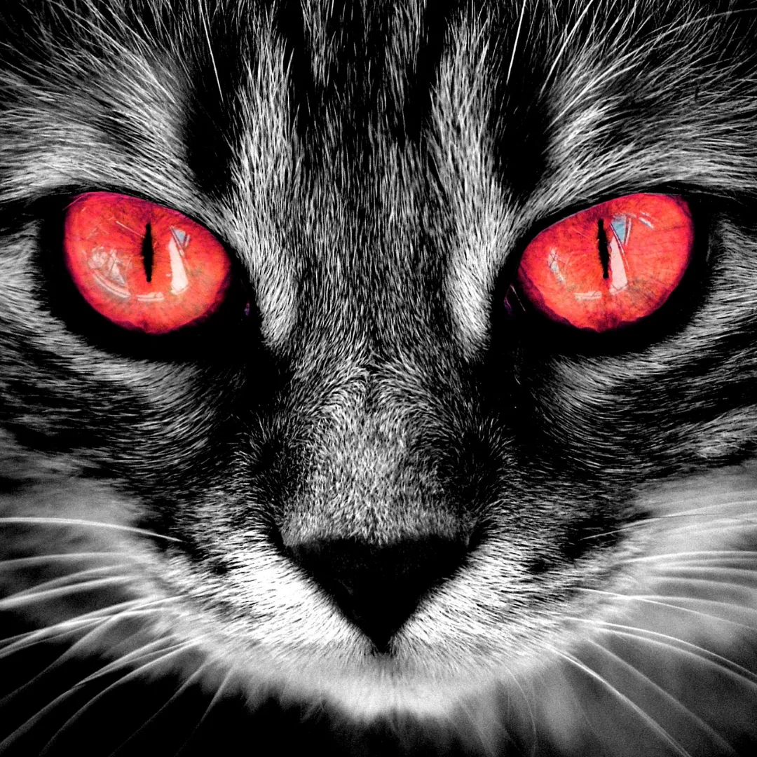 Иконка Канал English Vibe & Verbs — портал Max