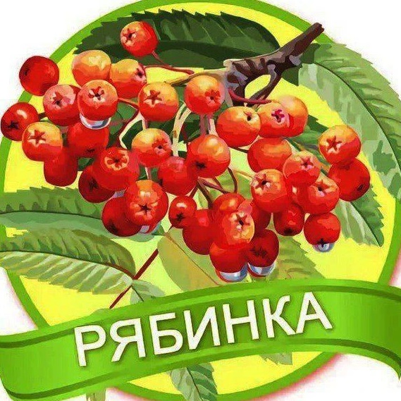 Иконка Канал МАДОУ ЦРР-д/с 18 "Рябинка" МО Кавказский район — портал Max