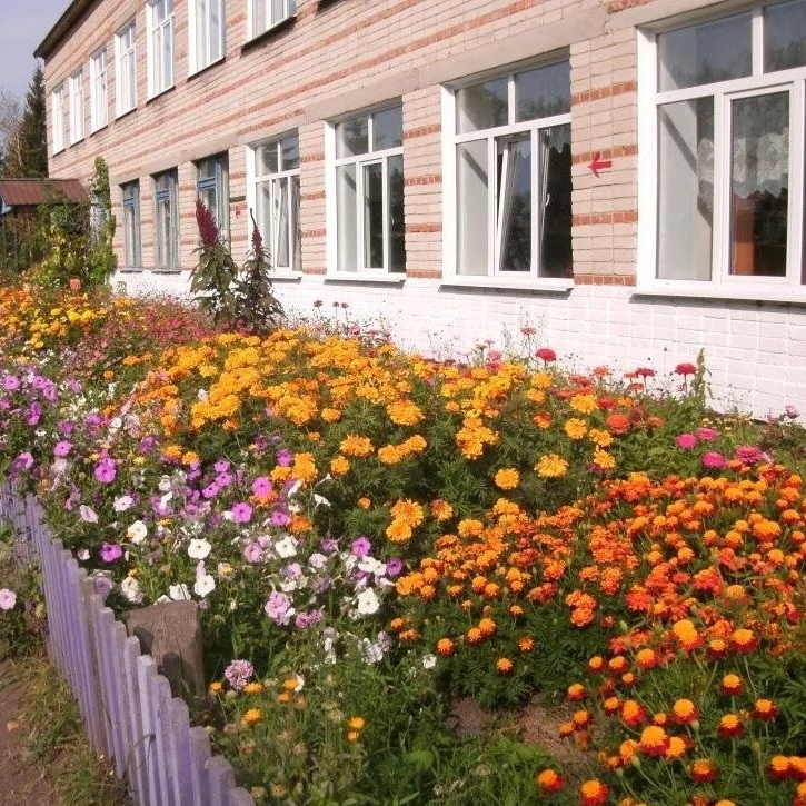 Иконка Канал МКОУ "Елгайская ООШ" официальный канал организации — портал Max