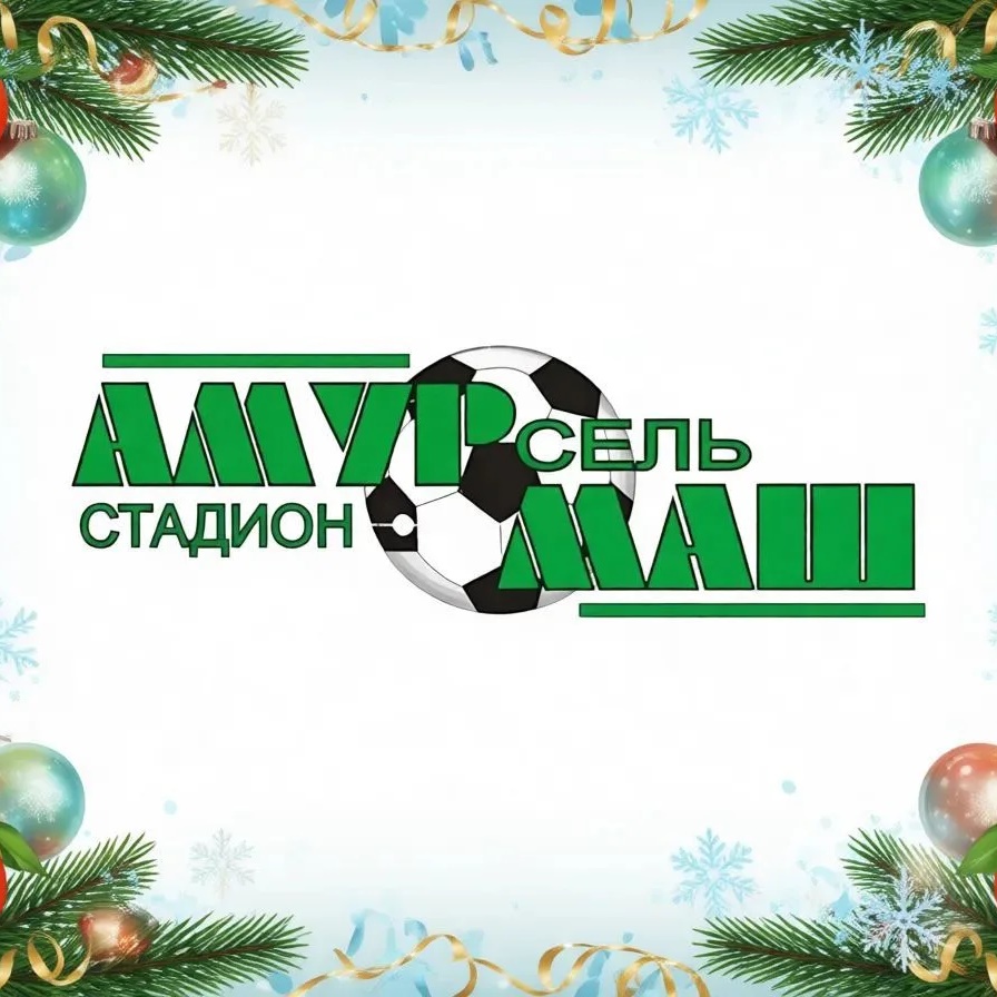 Иконка Канал Стадион "Амурсельмаш" и центр тестирования ГТО. Белогорск — портал Max