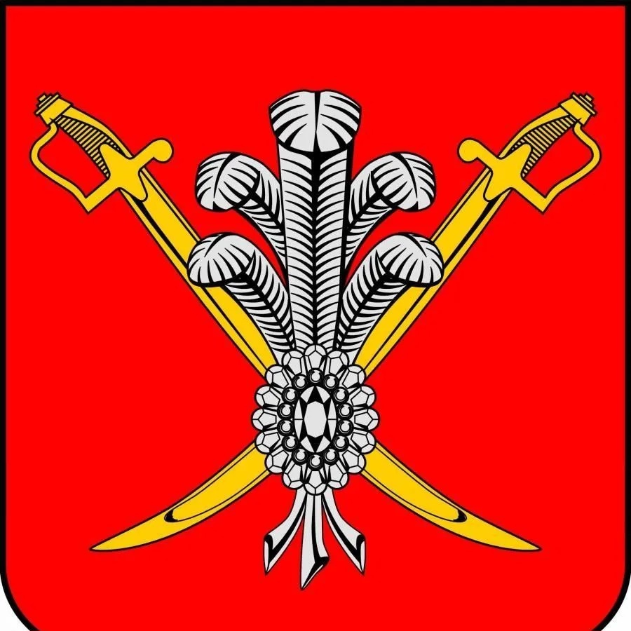 Иконка Канал Муниципальный Совет МО Коломяги — портал Max