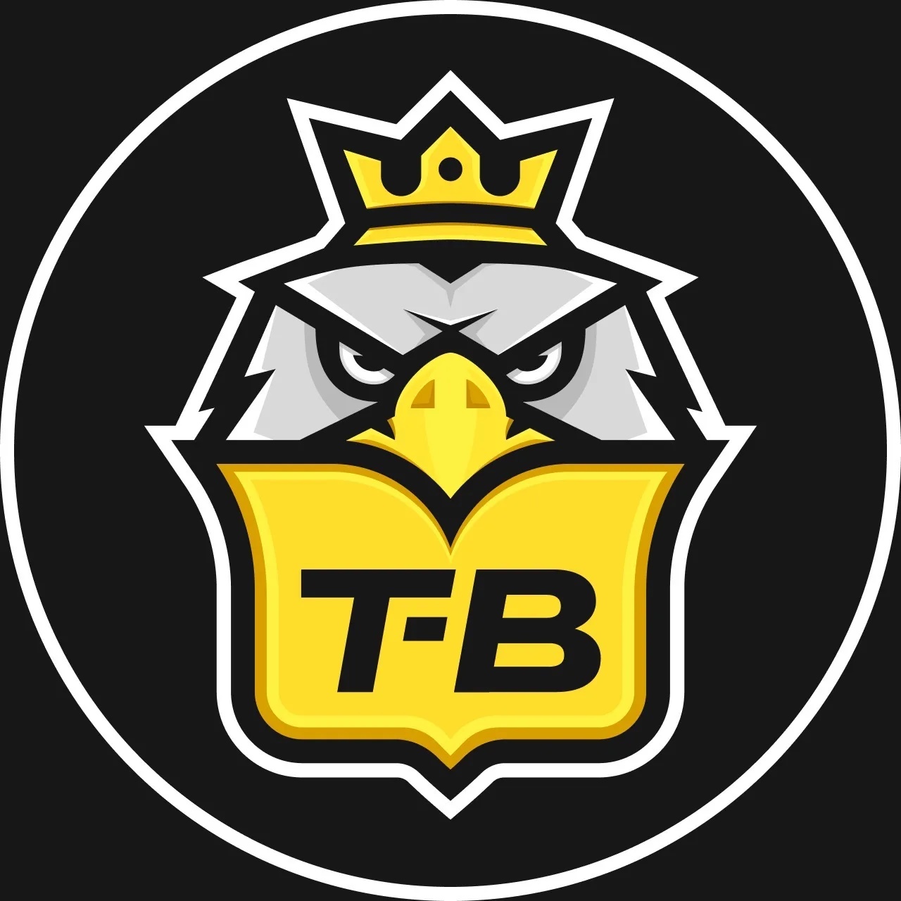 Иконка Канал Т-Воронеж | Типичный | Новости Воронежа — портал Max