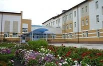 Иконка Канал МБОУ "Стародрожжановская сош №1" — портал Max