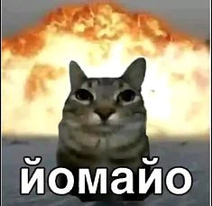 Иконка Канал тест3 — портал Max