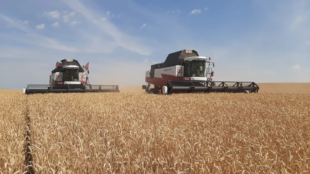 Управление сельского хозяйства и продовольствия в Заинском районе РТ — Канал Макс рейтинг Управление сельского хозяйства и продовольствия в Заинском районе РТ