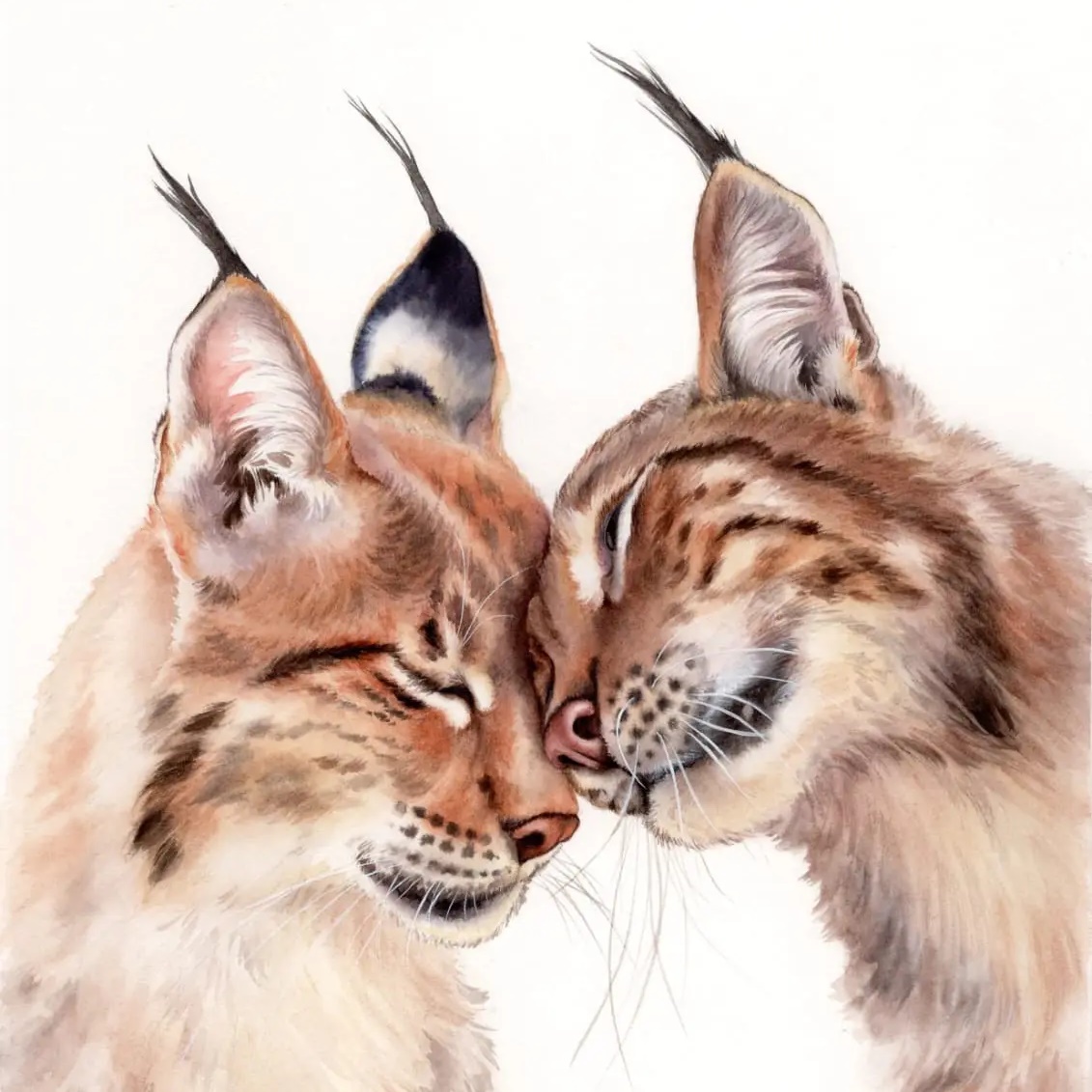 Иконка Канал KatyaBobCat — портал Max