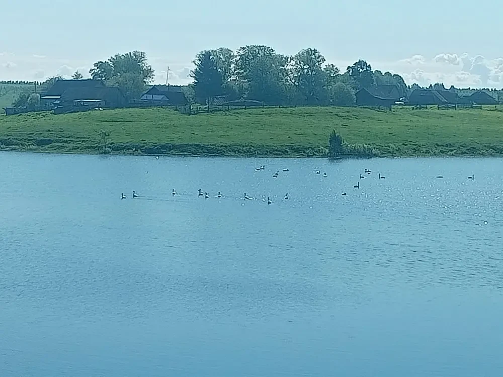 Иконка Канал АСП Ялангачевский сельсовет МР Балтачевский район РБ — портал Max