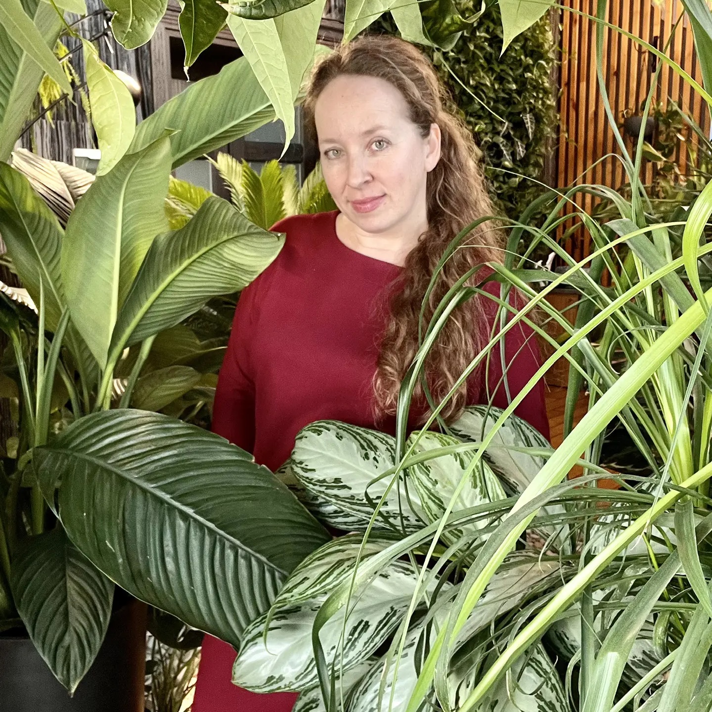 Иконка Канал Oxibird — портал Max