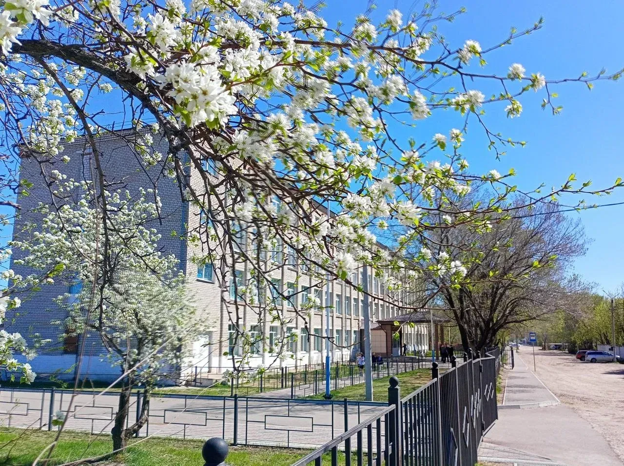 Иконка Канал МОАУ СОШ №192 г.Свободного — портал Max