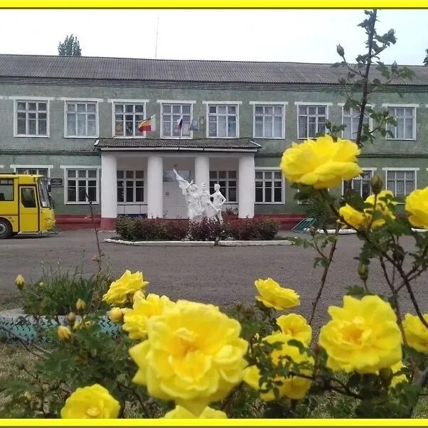 Иконка Канал МБОУ СОШ № 84 п. Сеятель — портал Max