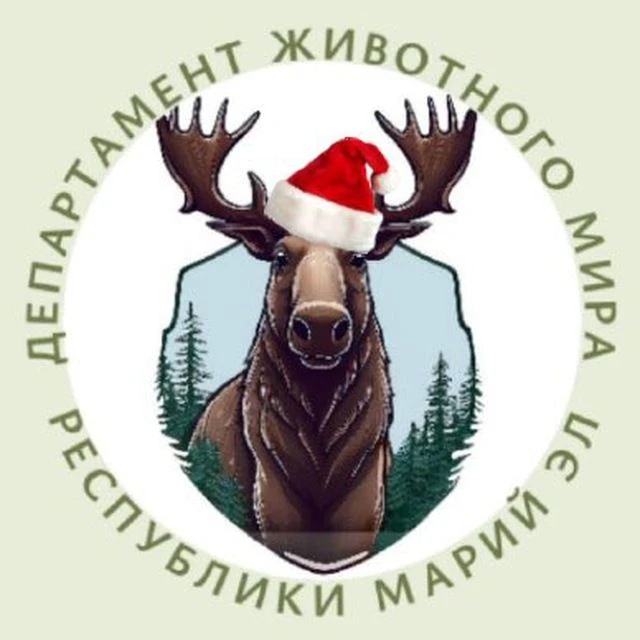 Иконка Канал Департамент животного мира Республики Марий Эл — портал Max