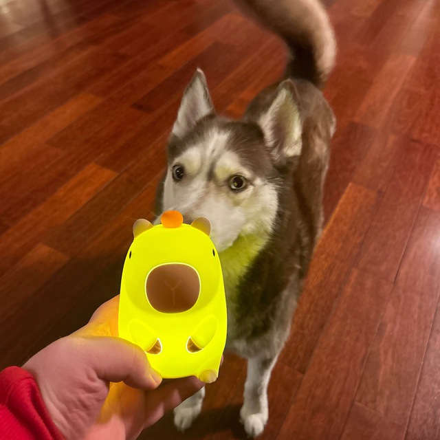 Аватар Группа T2x2 — рейтинг Max