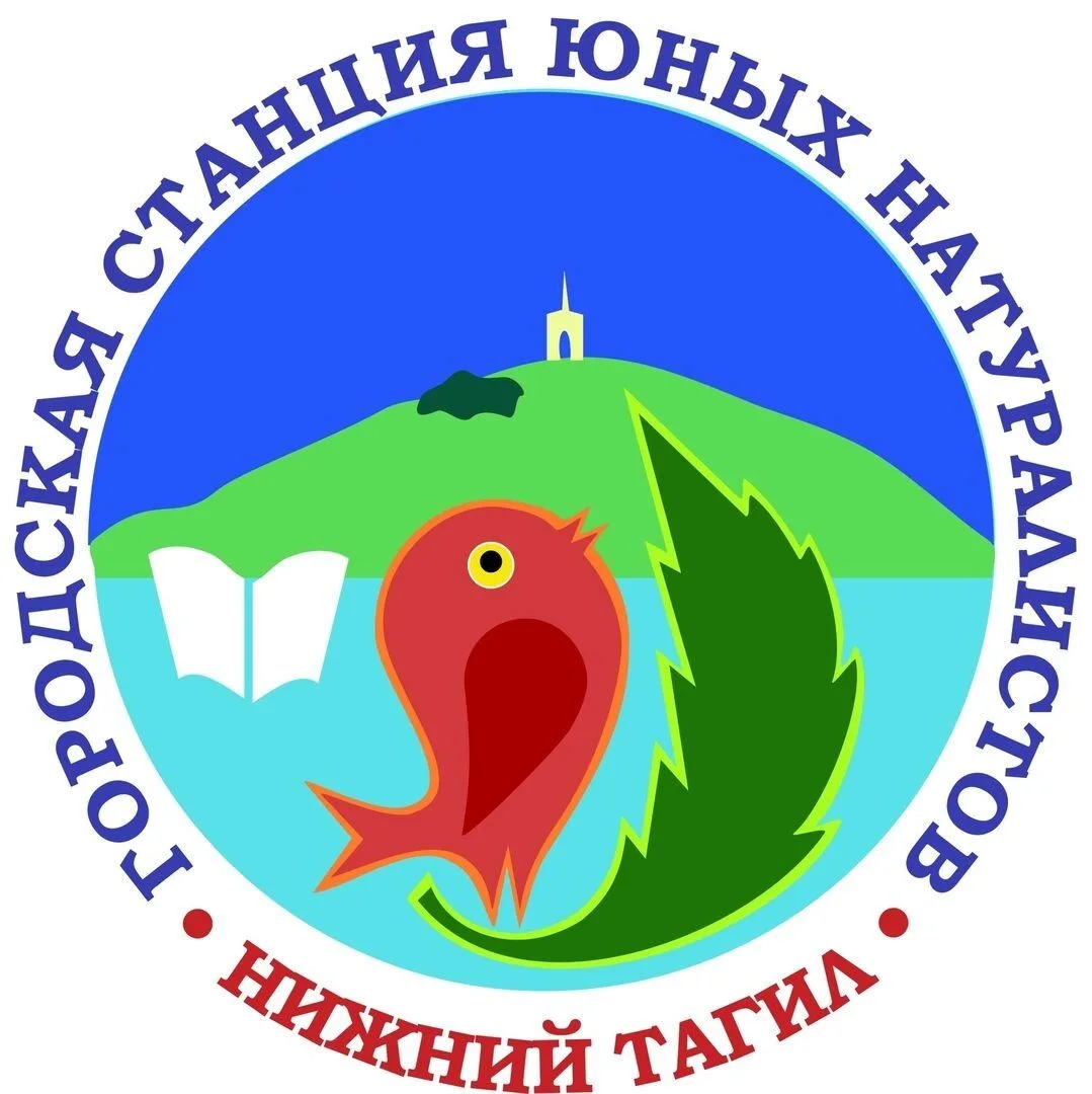 Иконка Канал Информационный канал МАУ ДО ГорСЮН г. Нижний Тагил — портал Max