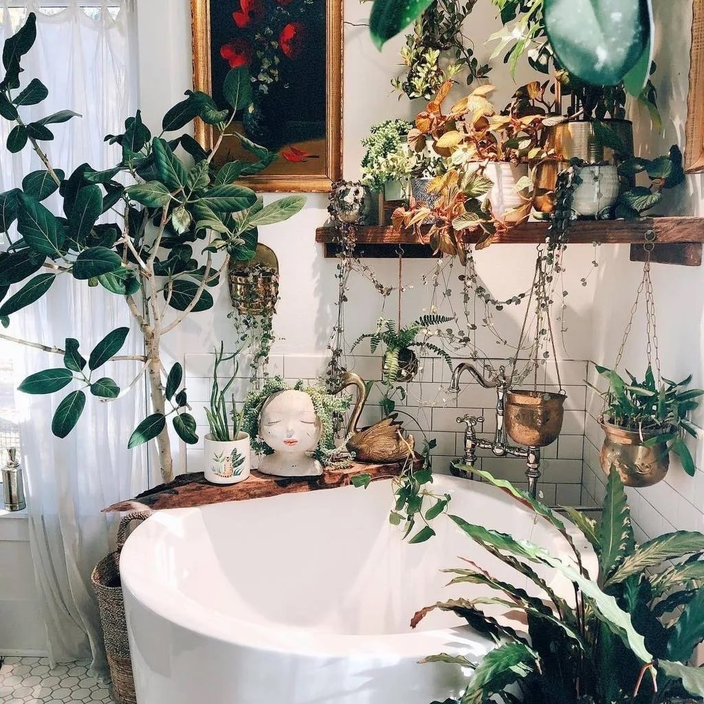 Иконка Канал Домашние джунгли — портал Max