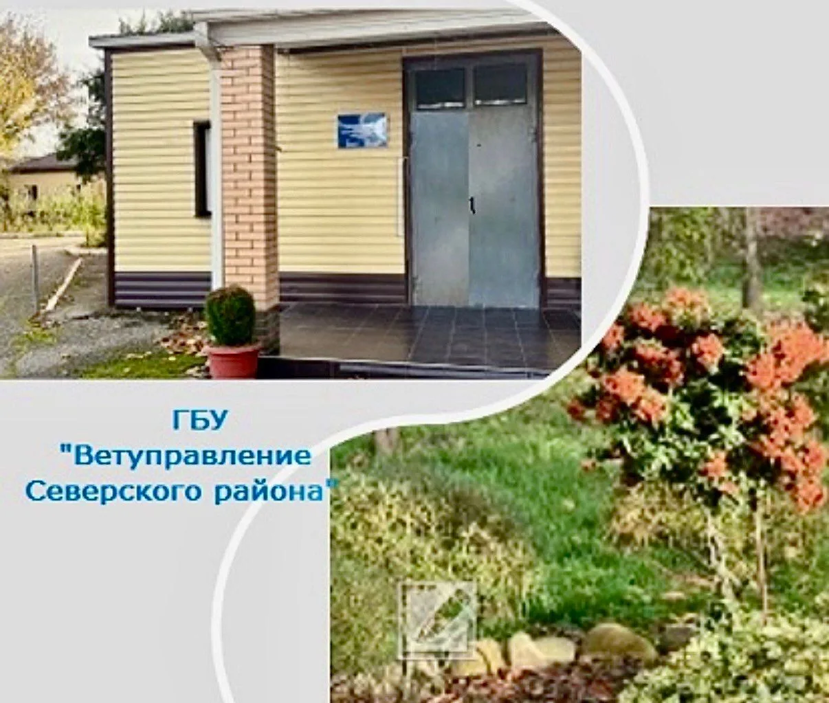 Иконка Канал ГБУ ВЕТУПРАВЛЕНИЕ Северского района — портал Max