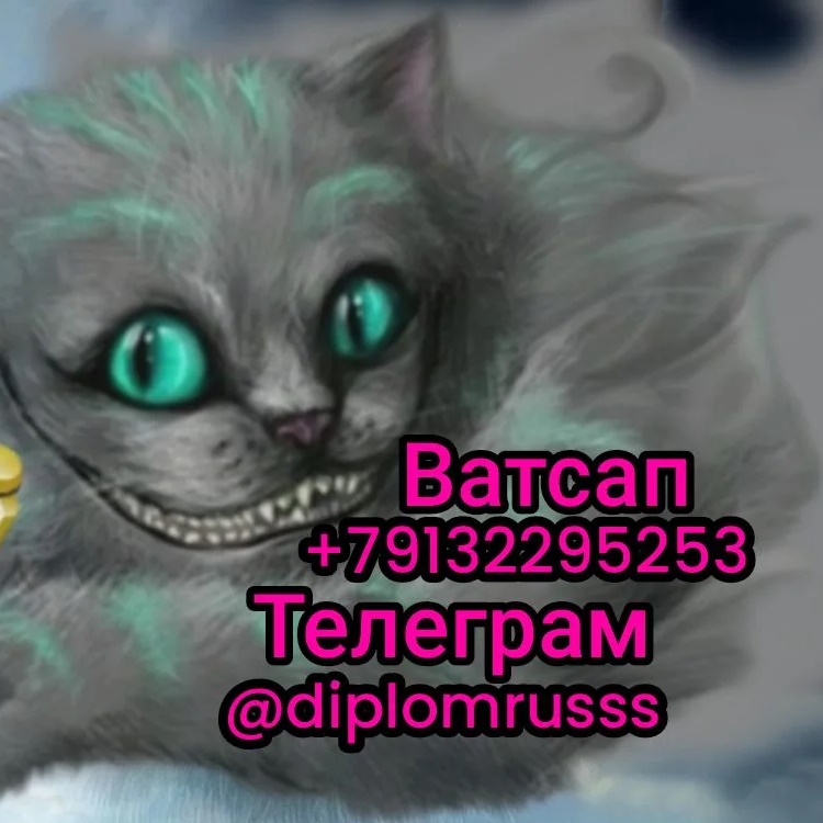 Иконка Канал Диплом по жизни — портал Max