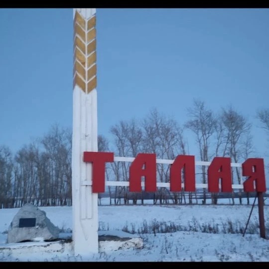 Иконка Канал Тальское территориальное управление — портал Max