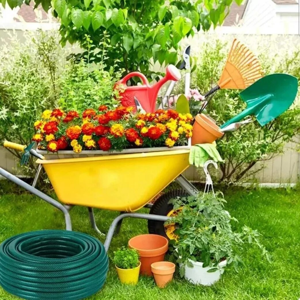 Аватар Группа Дача 🏠 сад 👨‍🌾 Огород🌶 — рейтинг Max