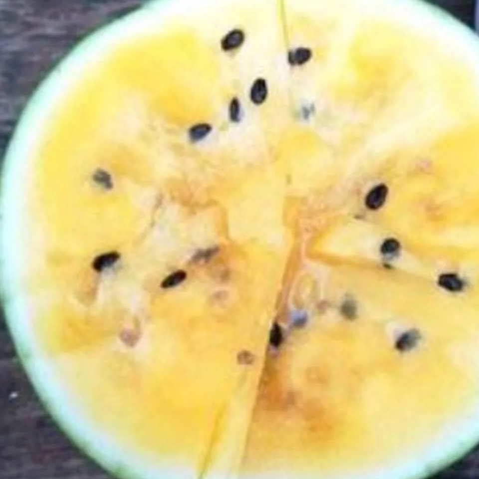 Иконка Канал С укропом на зубах — портал Max