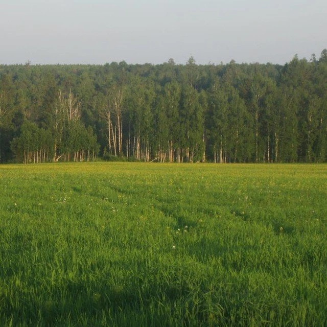 Иконка Канал Администрация Катарбейского МО — портал Max