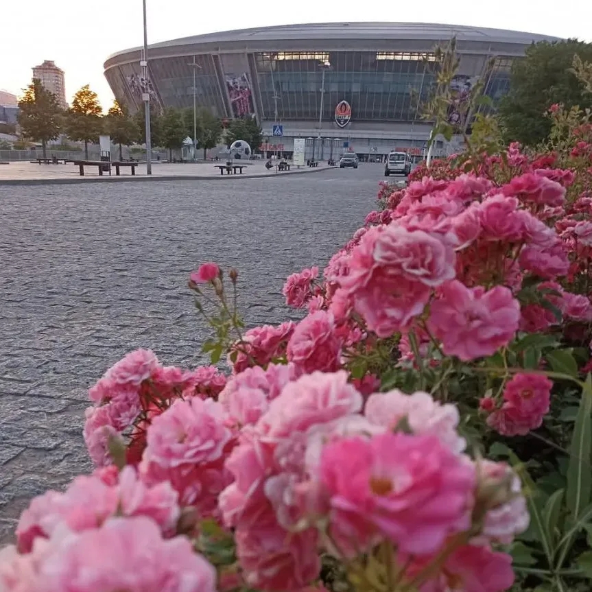 Аватар Группа Донецкая группа новостей — рейтинг Max