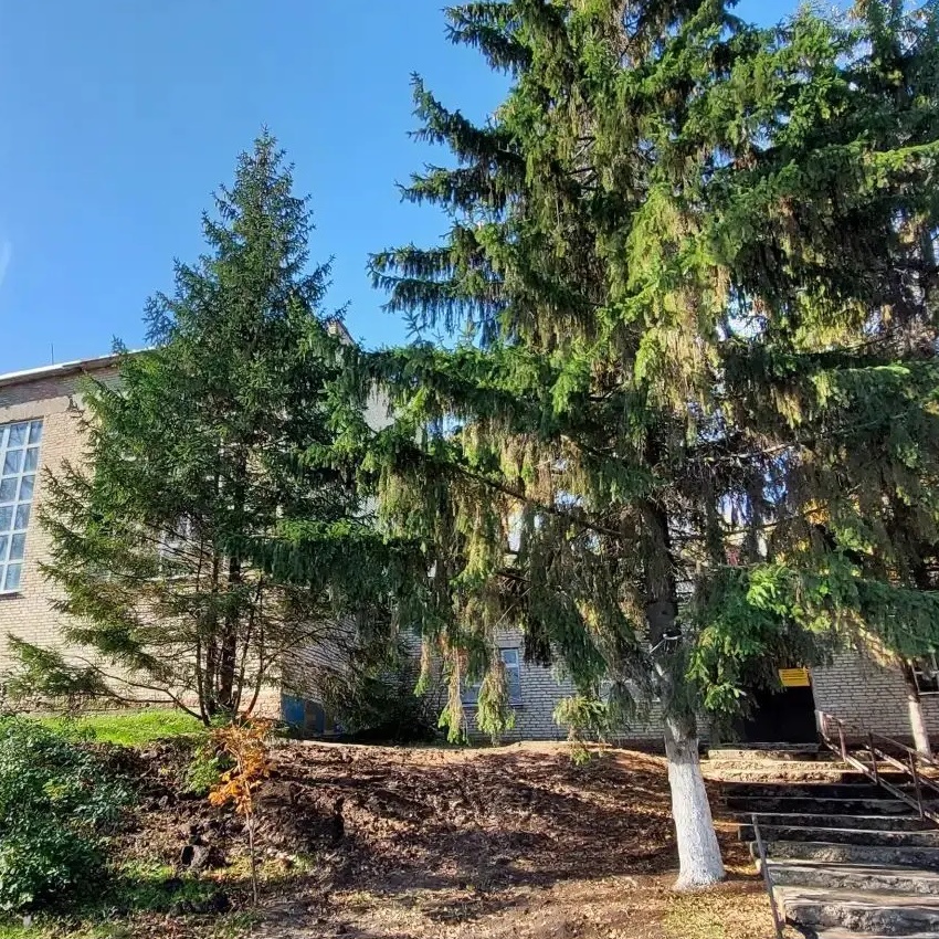 Иконка Канал МБОУ ДО ДЮСШ р.п. Инжавино — портал Max