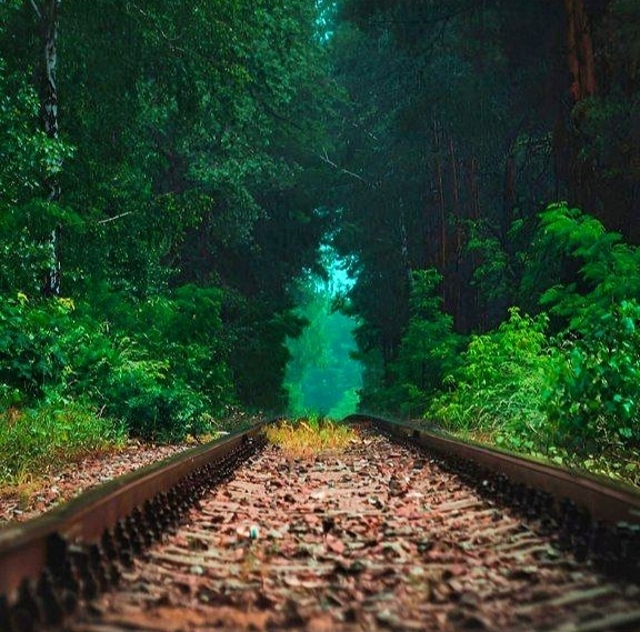 Аватар Группа "ЧАТ"💭 — рейтинг Max