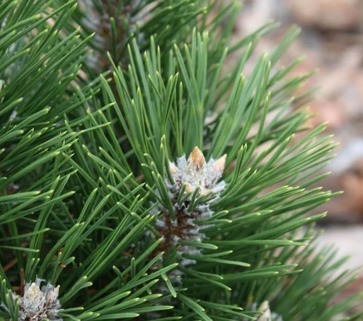 Государственное бюджетное учреждение Луганской Народной Республики "Старобельское лесоохотничье хозяйство" — Канал Макс рейтинг Государственное бюджетное учреждение Луганской Народной Республики "Старобельское лесоохотничье хозяйство"