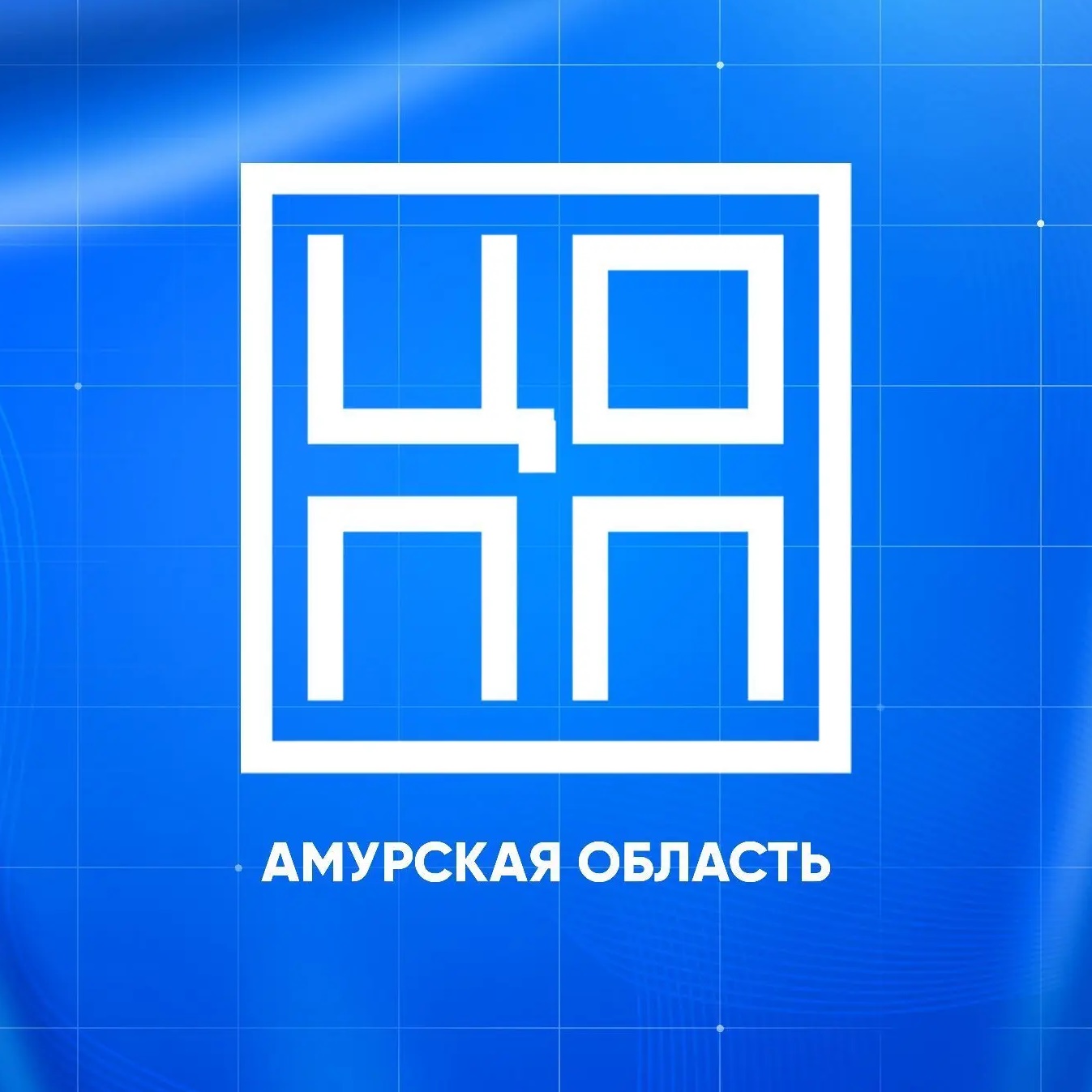Иконка Канал Амурский ЦОПП — портал Max