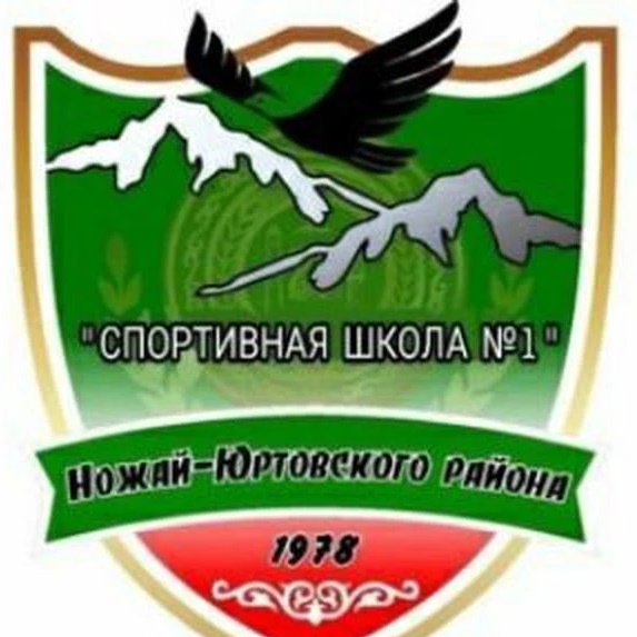 Иконка Канал ГБУ ДО "Спортивная школа № 1 Ножай-Юртовского района" — портал Max