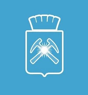 Иконка Канал Официальный канал - ГБУЗ АО "Райчихинская ГБ" — портал Max