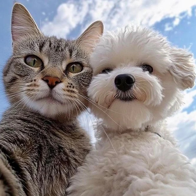 Иконка Канал ГБУ"Кузнецкая райСББЖ" — портал Max