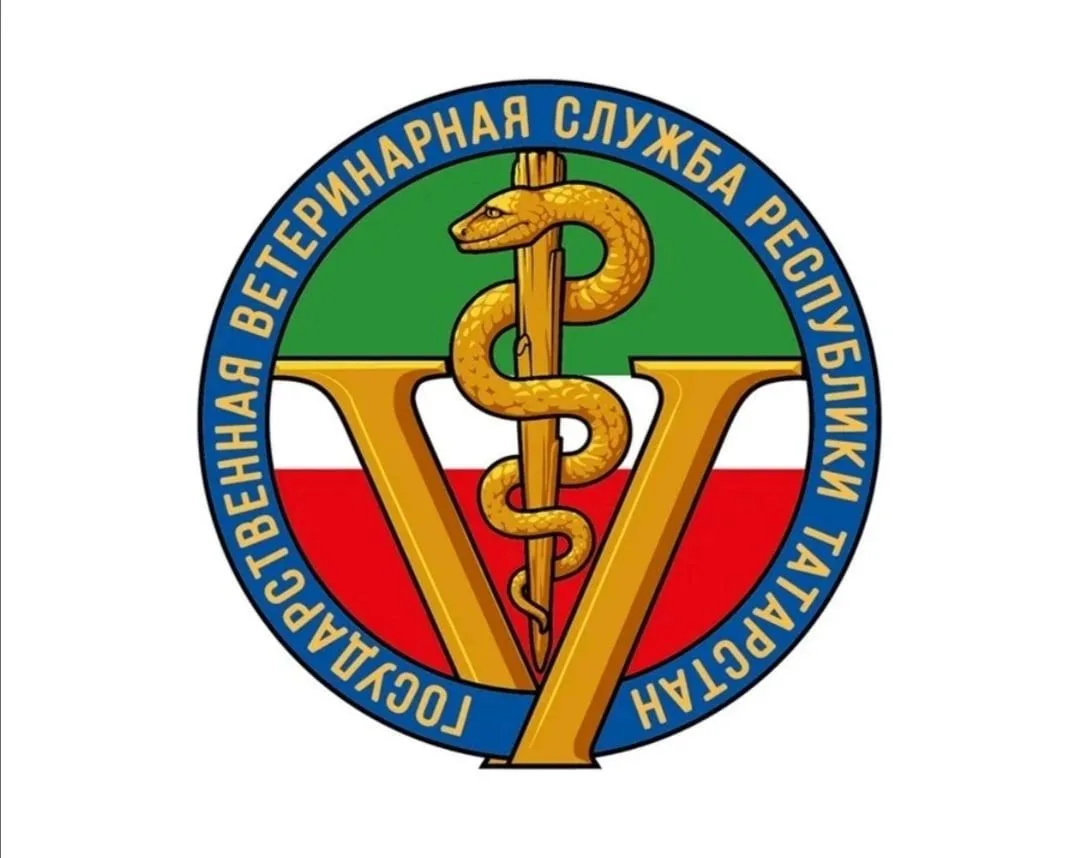 Высокогорское районное ветеринарное объединение — Канал Макс рейтинг Высокогорское районное ветеринарное объединение