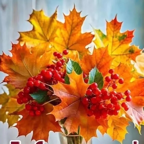 Иконка Канал МБОУ "Домашовская СОШ" Наши события. — портал Max