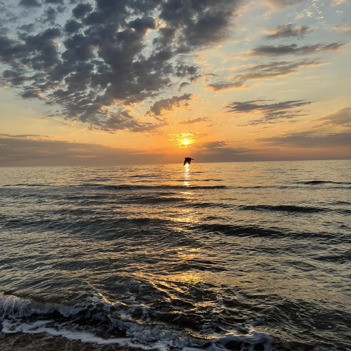 Иконка Канал МКОУ "Гельбахская СОШ" — портал Max