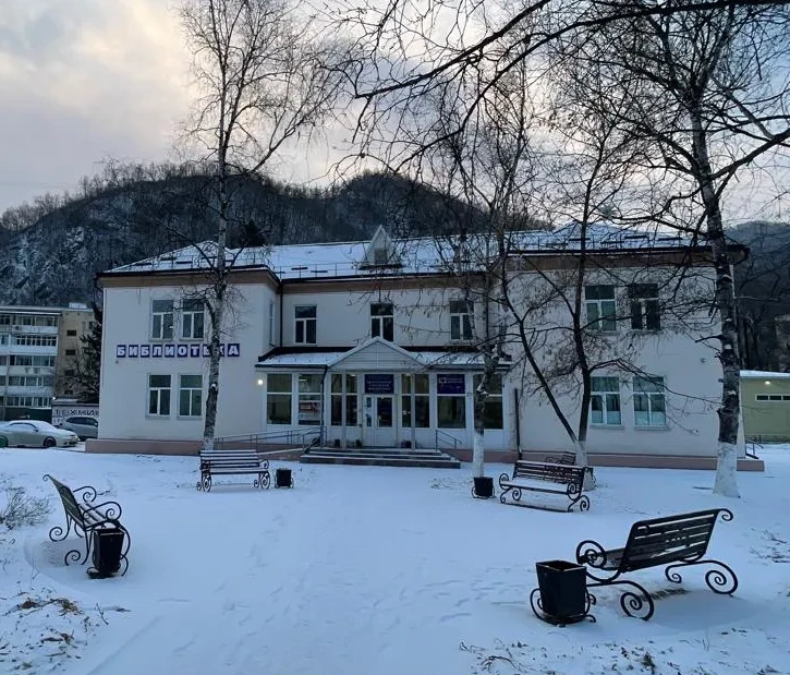 Иконка Канал Центральная городская библиотека г.Дальнегорск — портал Max