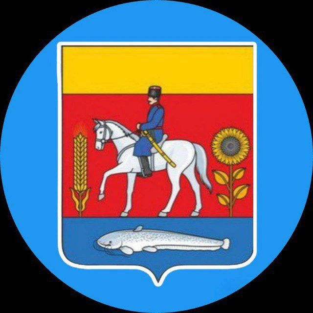 Иконка Канал Совет муниципального округа муниципальное образование Новоайдарский муниципальный округ Луганской Народной Республики — портал Max