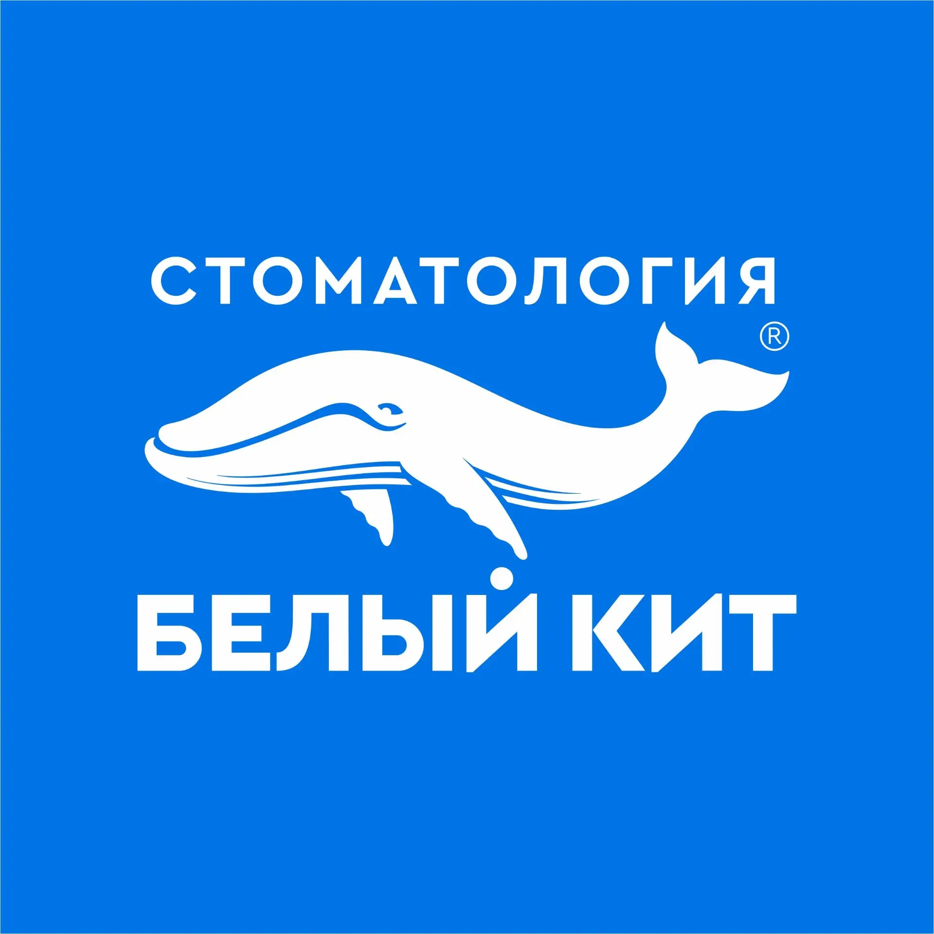 СКИДКИ от стоматологии «Белый Кит». 🐳 Не пропустите! — Канал Макс рейтинг СКИДКИ от стоматологии «Белый Кит». 🐳 Не пропустите!