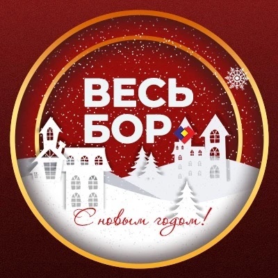 Иконка Канал ВЕСЬ БОР — портал Max