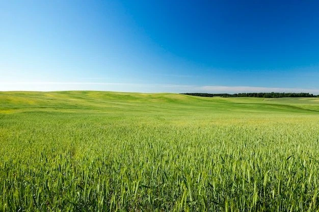 УСХИП МСХИП РТ в Ютазинском муниципальном районе РТ — Канал Макс рейтинг УСХИП МСХИП РТ в Ютазинском муниципальном районе РТ