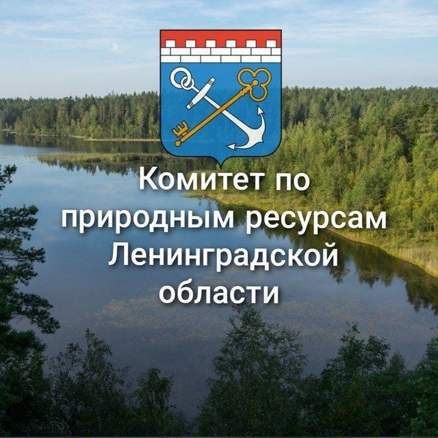 Иконка Канал Комитет по природным ресурсам Ленобласти — портал Max