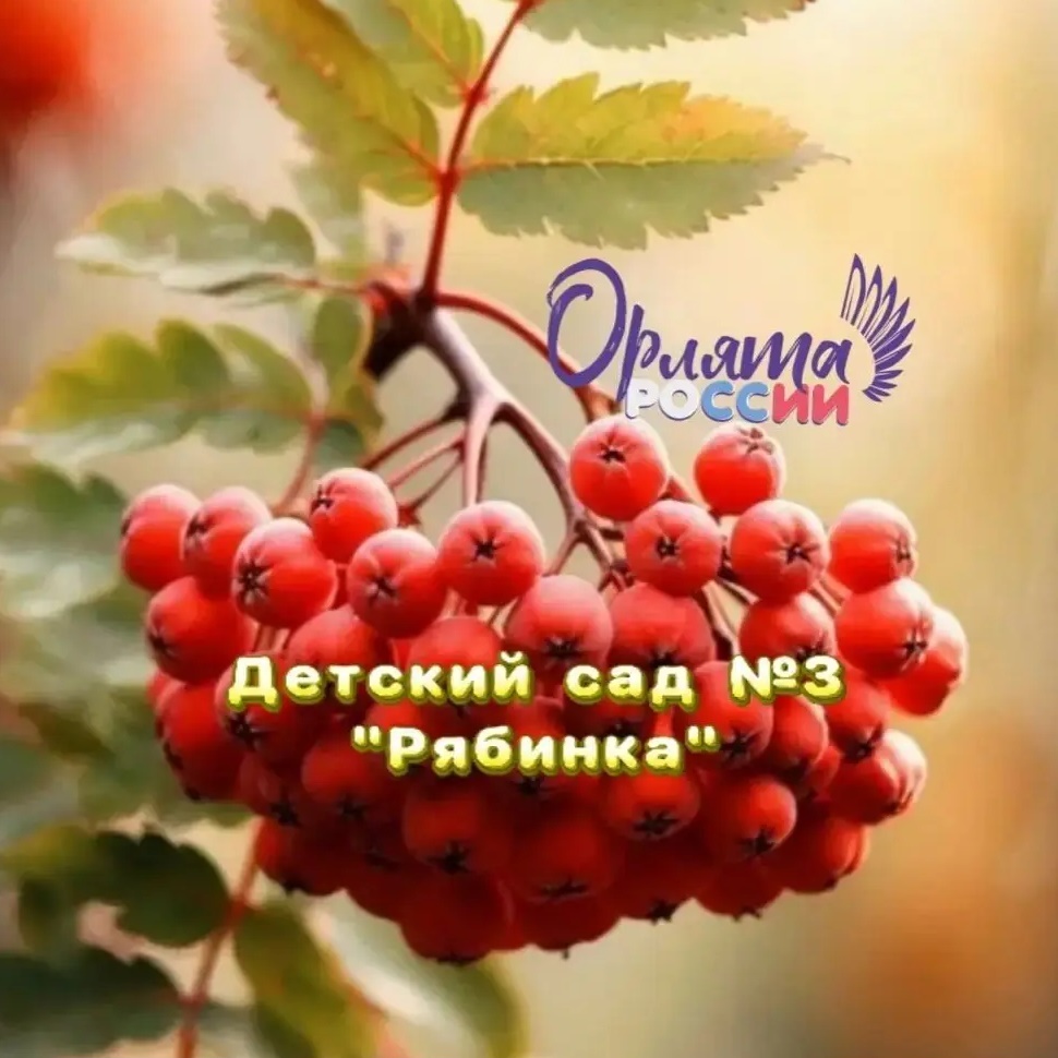 Иконка Канал МКДОУ №3 д/с "Рябинка" п. Бисерть — портал Max