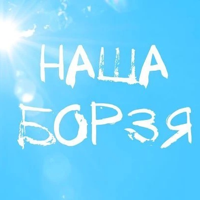 Иконка Канал Наша Борзя — портал Max