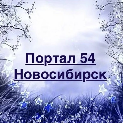 Иконка Канал Портал 54 — Новости Новосибирска — портал Max