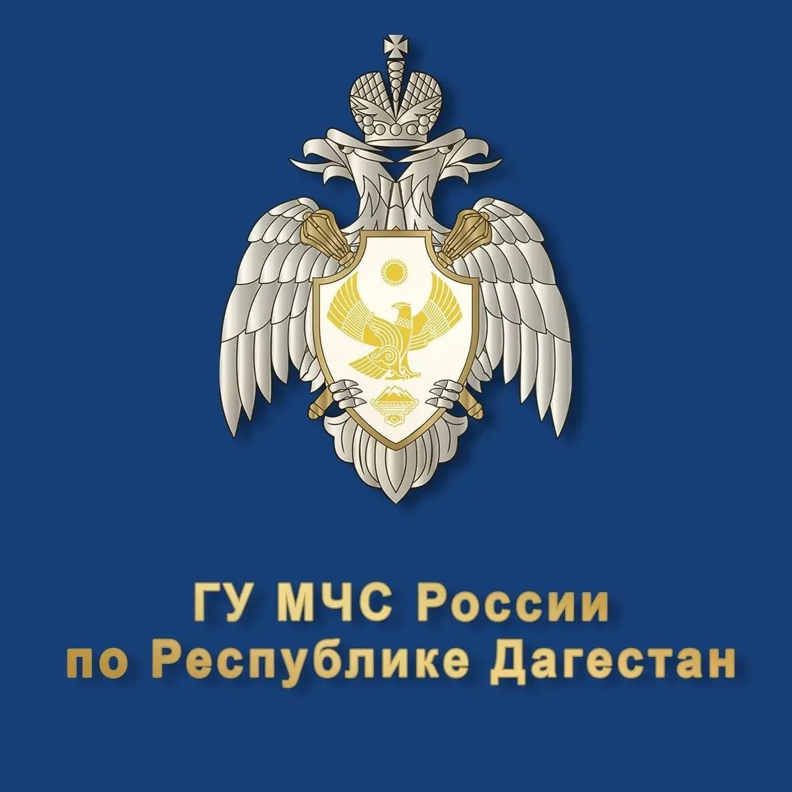 Иконка Канал Главное управление МЧС России по Республике Дагестан — портал Max