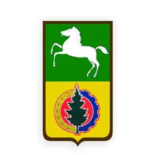 Иконка Канал Администрация Асиновского района — портал Max