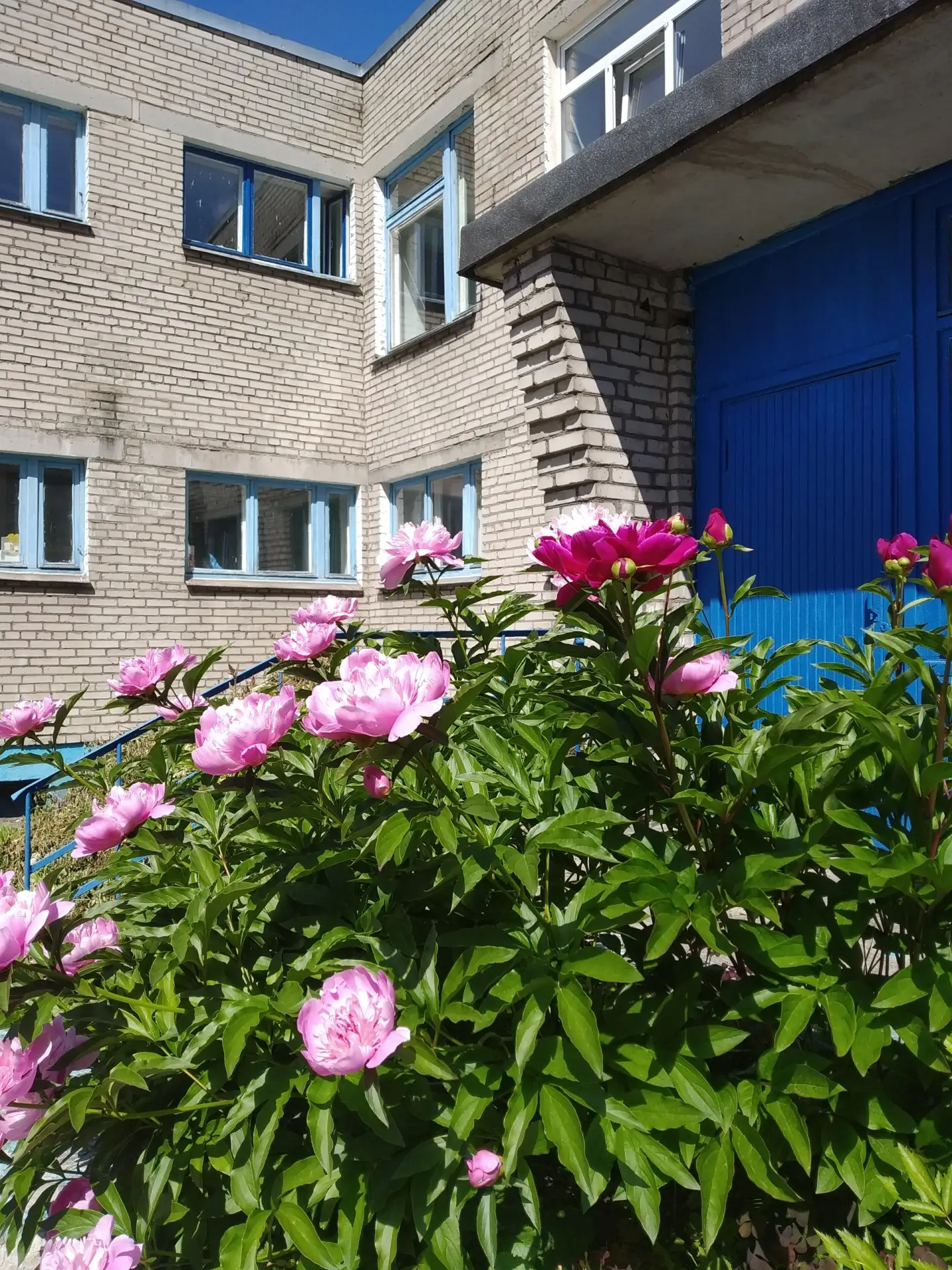 МАДОУ "Детский сад № 103" — Канал Макс рейтинг МАДОУ "Детский сад № 103"